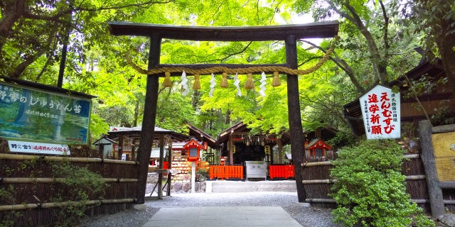 Nonomiya Shrine in Arashiyama Bamboo Grove, Kyoto — Kuroki Torii and Shibagaki fence