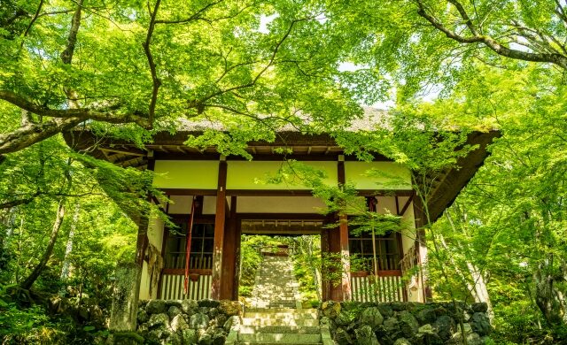 Thatched Niomon Gate surrounded by trees at Jojakko-ji Temple in Kyoto