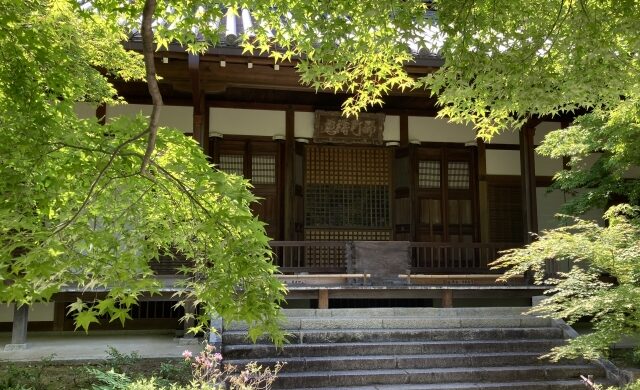 Main Hall surrounded by trees at Jojakko-ji Temple in Arashiyama Kyoto