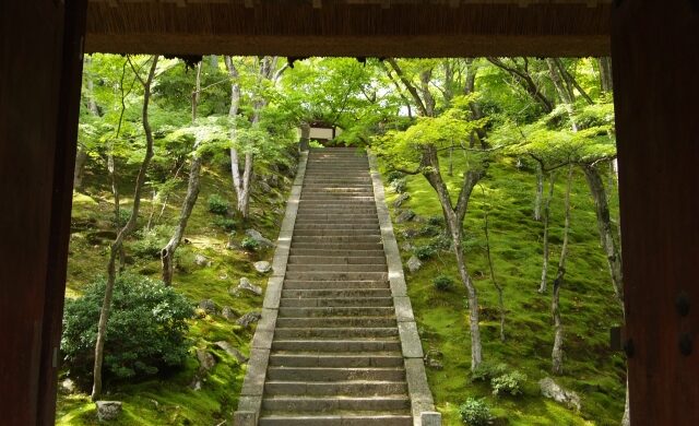 Stone stairway surrounded by moss and maple trees at Jojakko-ji Temple in Kyoto
