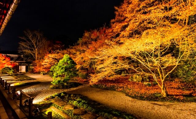 Autumn illumination at Tenju-an Temple within the Nanzen-ji grounds in Kyoto
