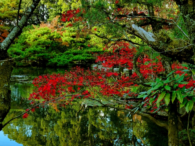 Shinen Garden at Heian Shrine in Kyoto, Japan