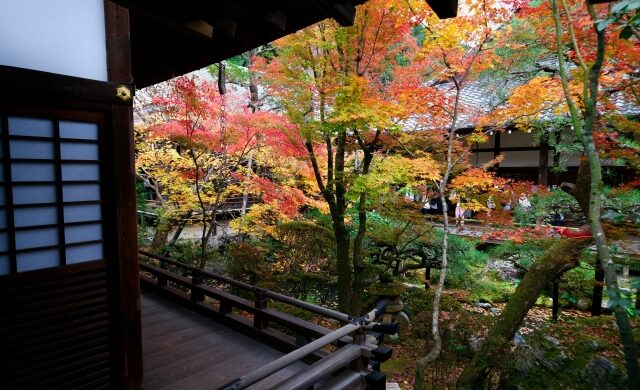 Autumn garden viewed from a wooden corridor at Eikando Temple in Kyoto
