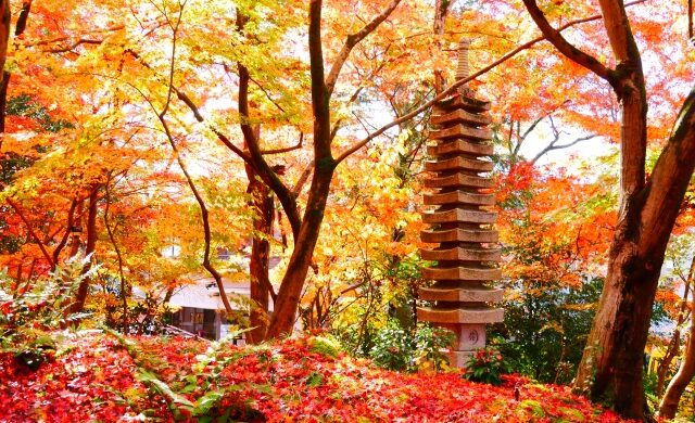 Thirteen-story stone pagoda surrounded by autumn leaves at Eikando Temple in Kyoto