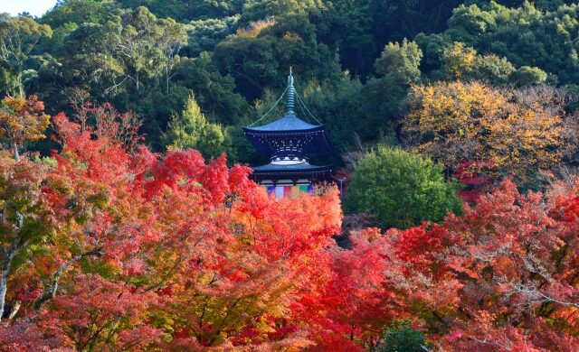 Tahoto Pagoda rising above autumn leaves at Eikando Temple in Kyoto