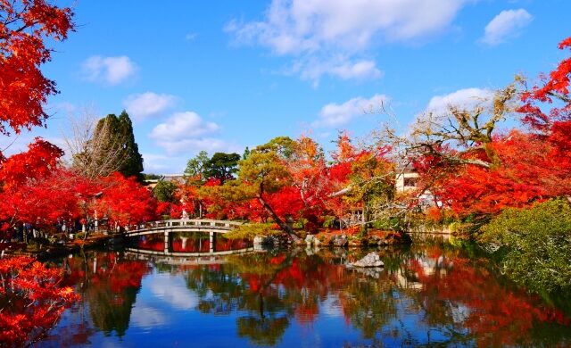 Hojo Pond surrounded by colorful autumn leaves at Eikando Temple in Kyoto