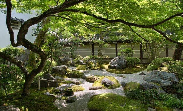 Japanese garden surrounded by fresh green maple leaves at Eikando Temple in Kyoto